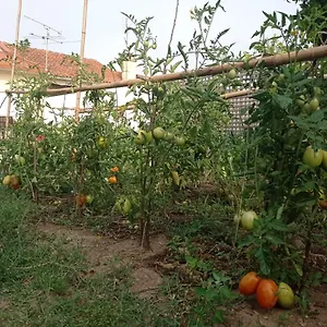 Casa de Férias Eira Da Mila